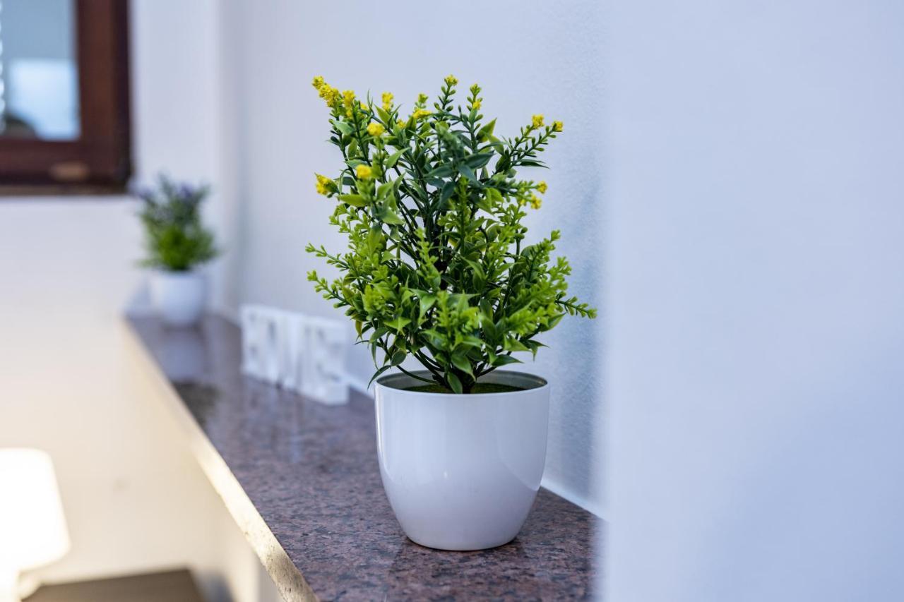 ميلان Santa Marta Apartments المظهر الخارجي الصورة